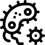 BACTERIAL SPORES