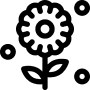 POLLEN