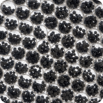 carbon-filter